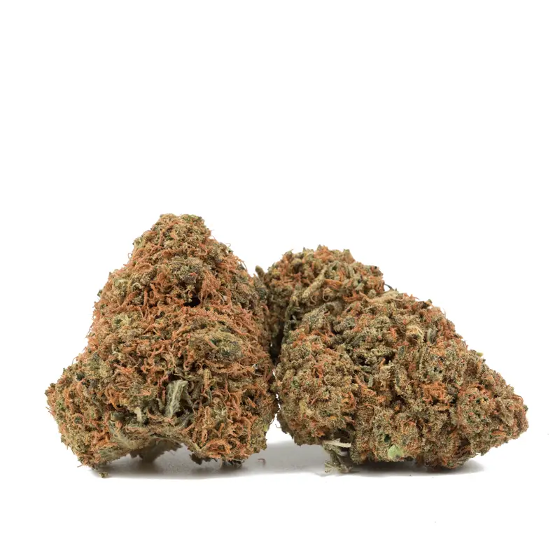 Gorilla Berry
