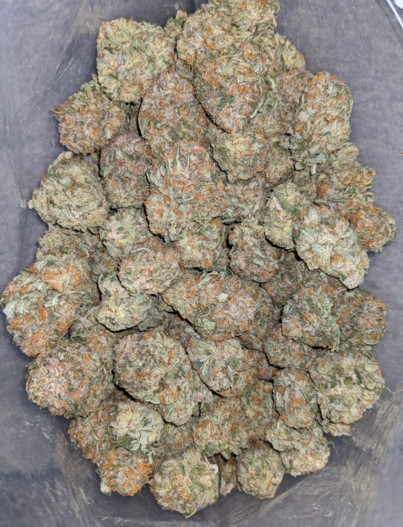 Gorilla Bomb - Image 6