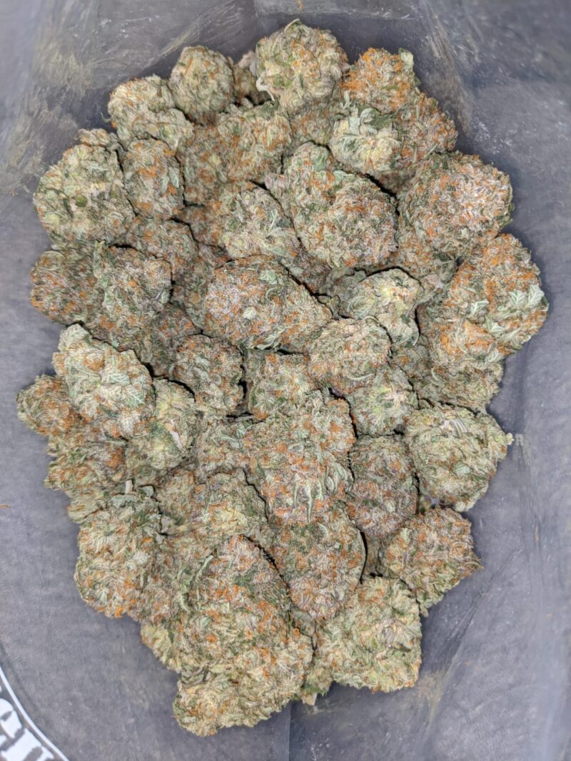 Gorilla Bomb - Image 5