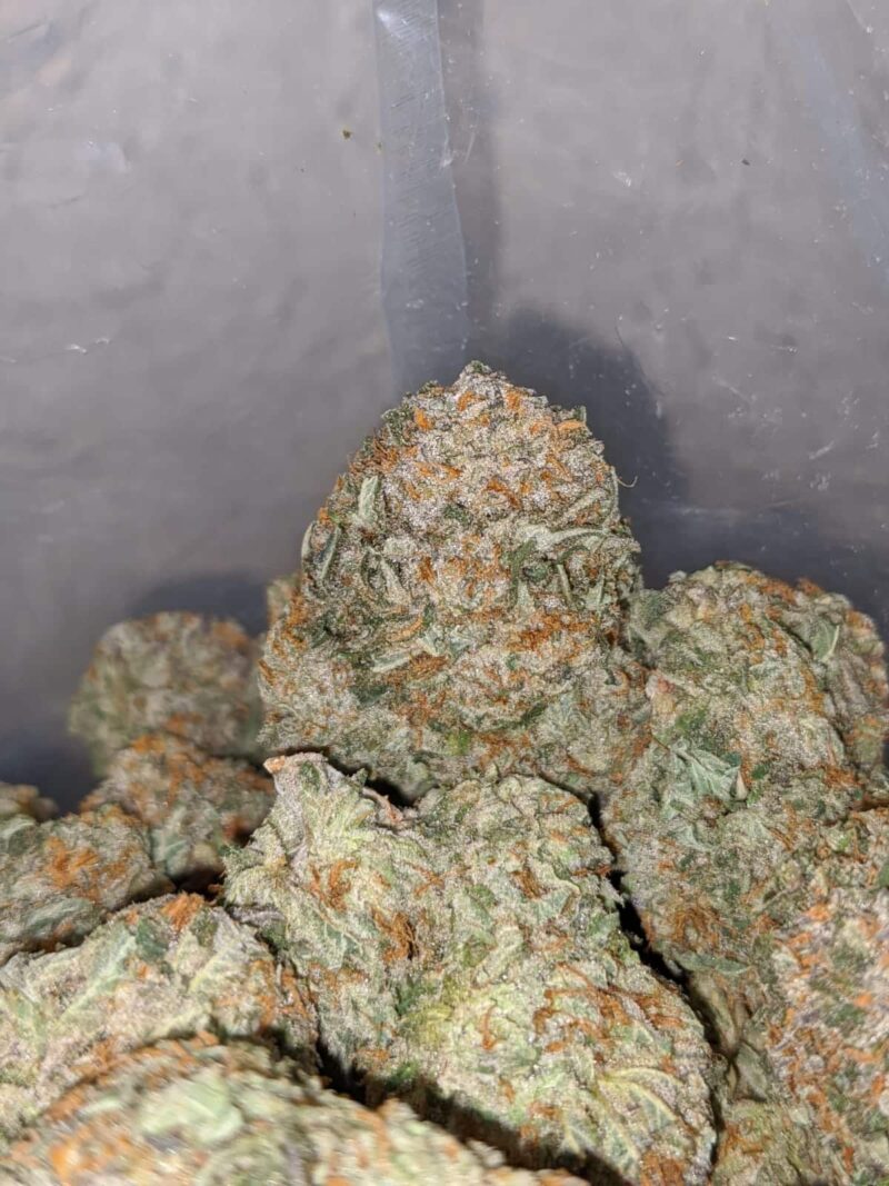 Gorilla Bomb - Image 7