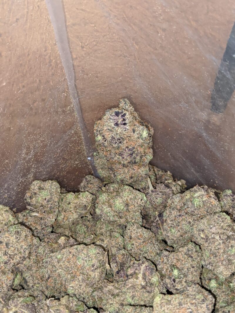 Grape Ape - Image 7