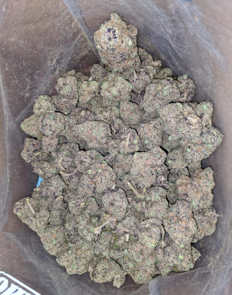 Grape Ape - Image 6