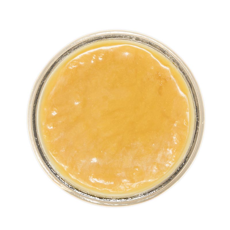 Grape Fizz Live Resin