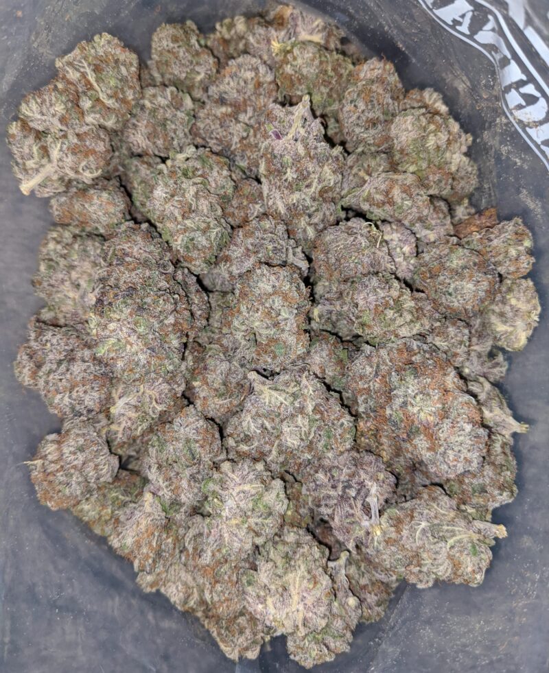 Grape Stomper – *Deal Of The Day* - Image 5