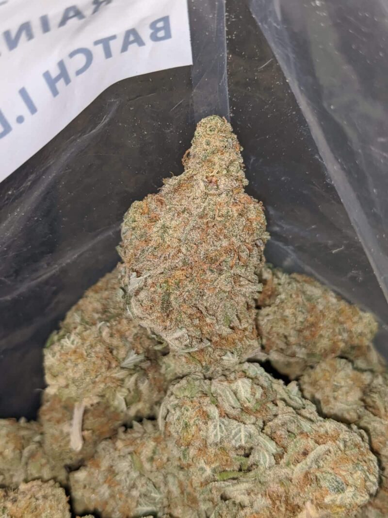 $ 51 Oz – Grapefruit - Image 7