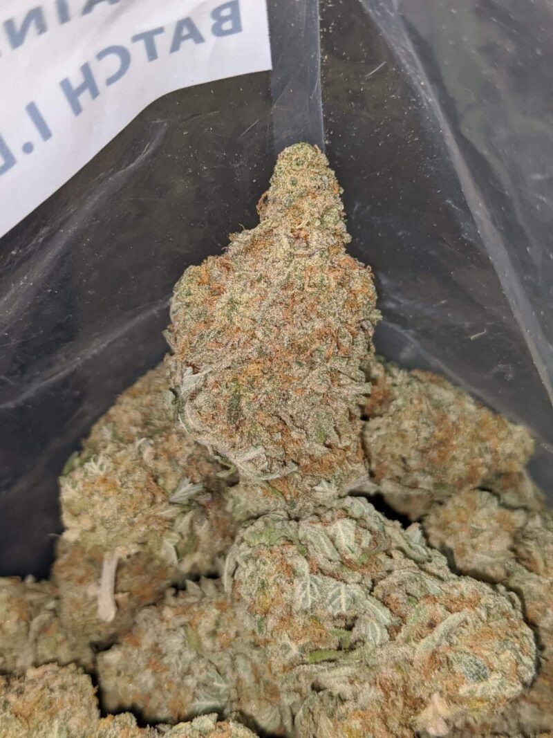 $ 51 Oz – Grapefruit - Image 6