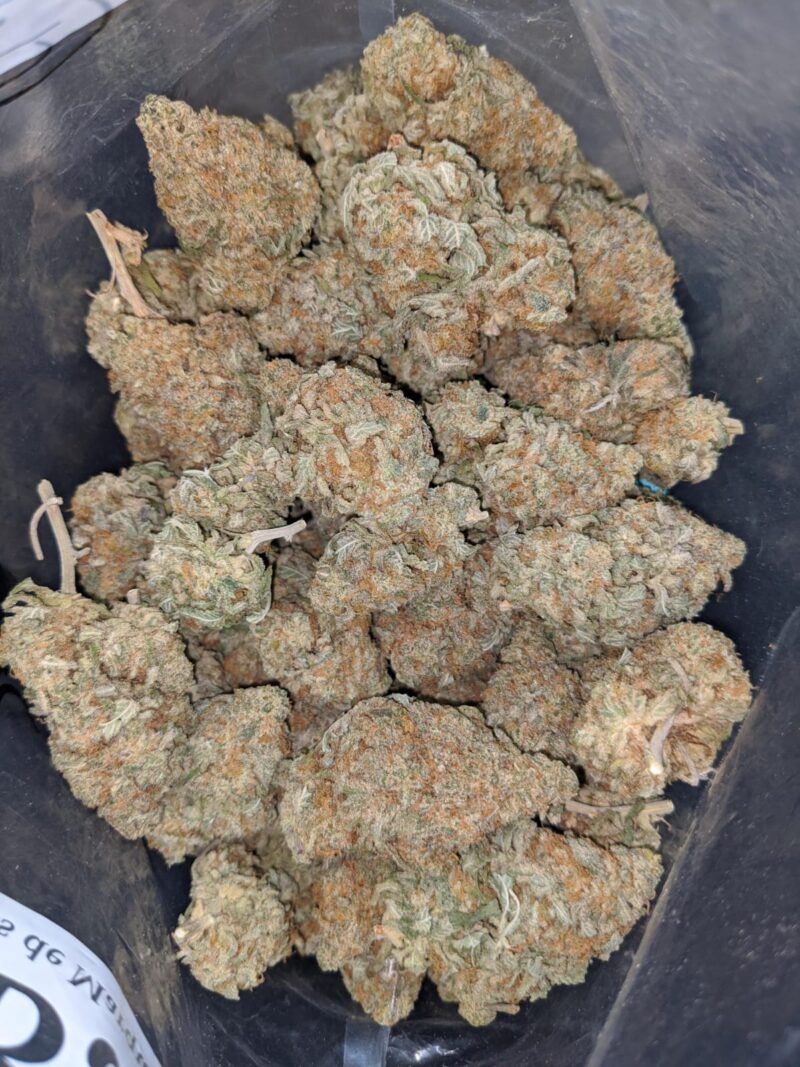 $ 51 Oz – Grapefruit - Image 4