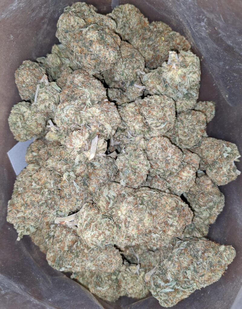 Grease Monkey – *Deal Of The Day* - Image 6