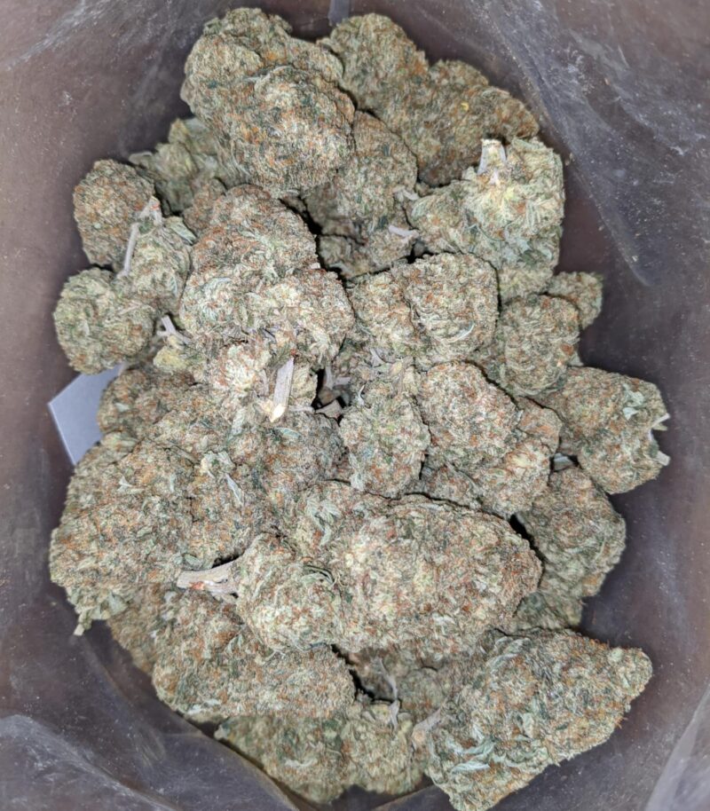 Grease Monkey – *Deal Of The Day* - Image 5