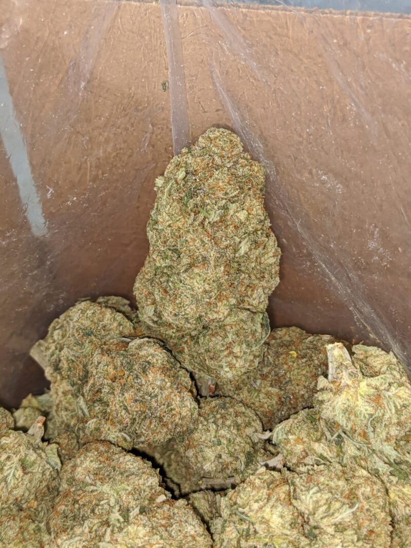 Grease Monkey – *Deal Of The Day* - Image 4