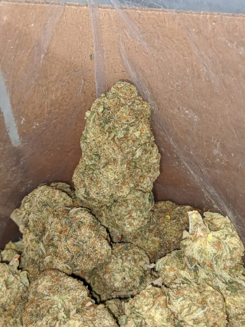 Grease Monkey – *Deal Of The Day* - Image 7