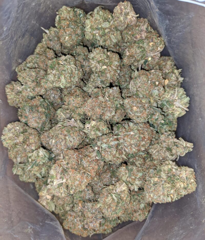 Greasy Pink - Image 7