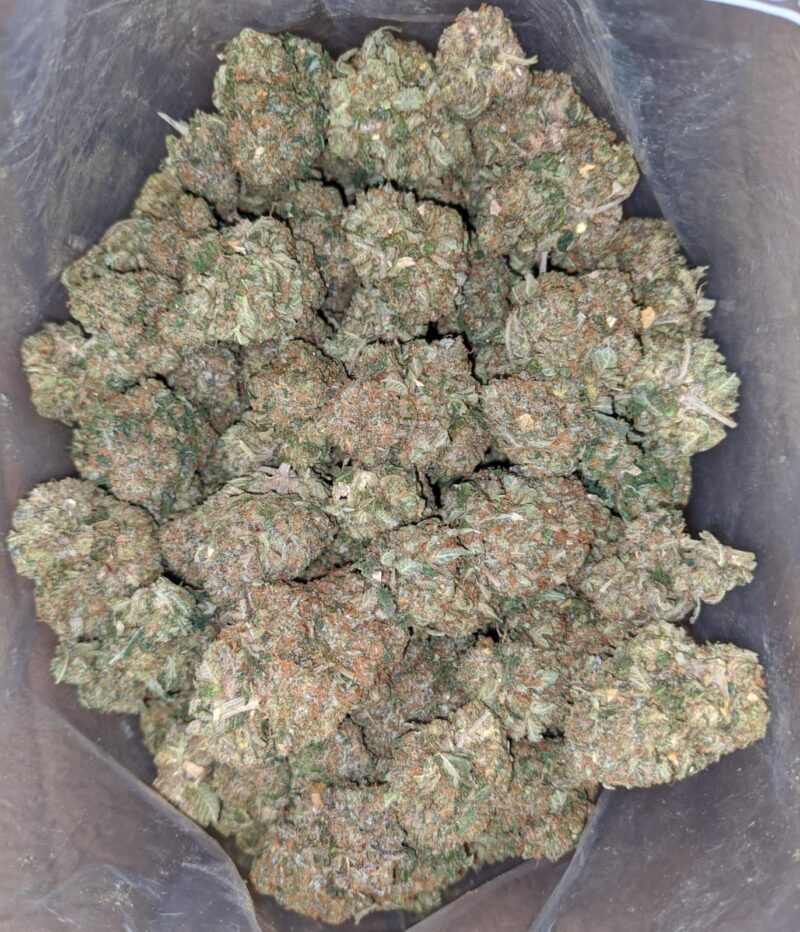 Greasy Pink - Image 5