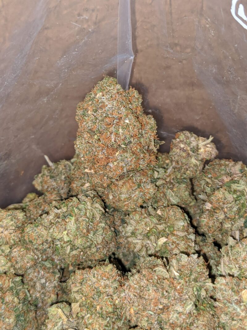 Greasy Pink - Image 4