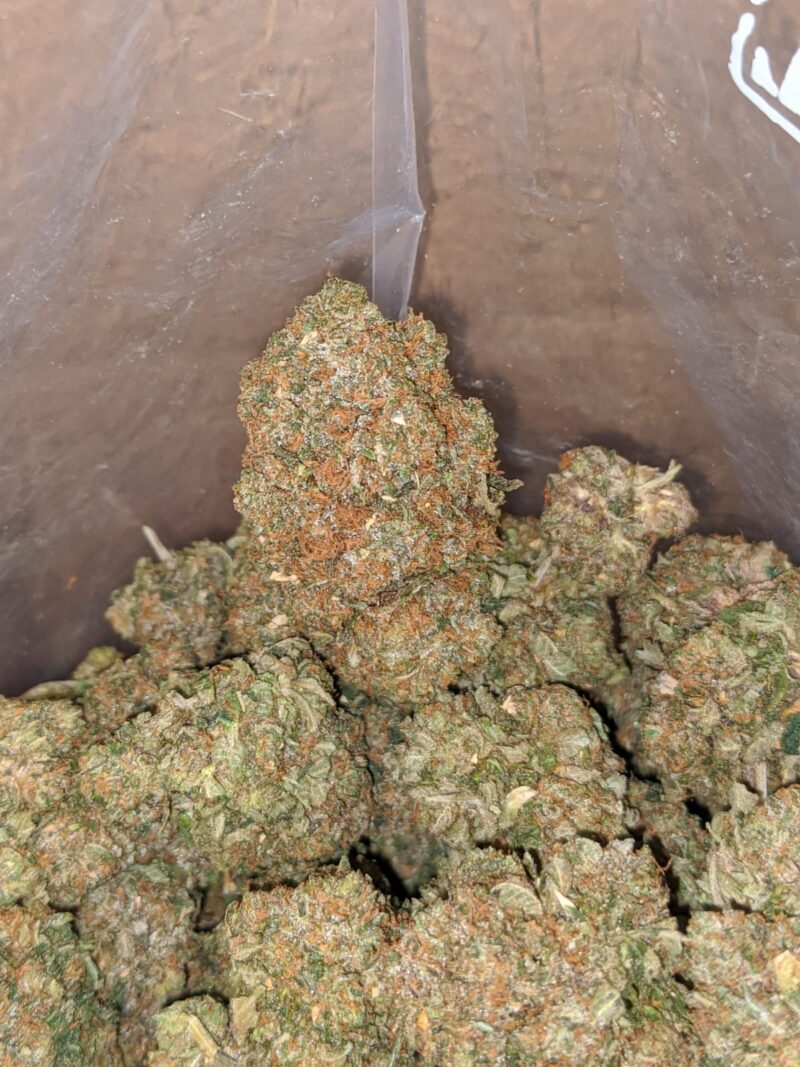 Greasy Pink - Image 6