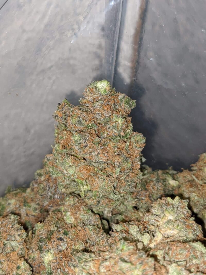 Green Hulk - Image 4