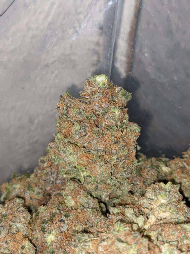 Green Hulk - Image 7