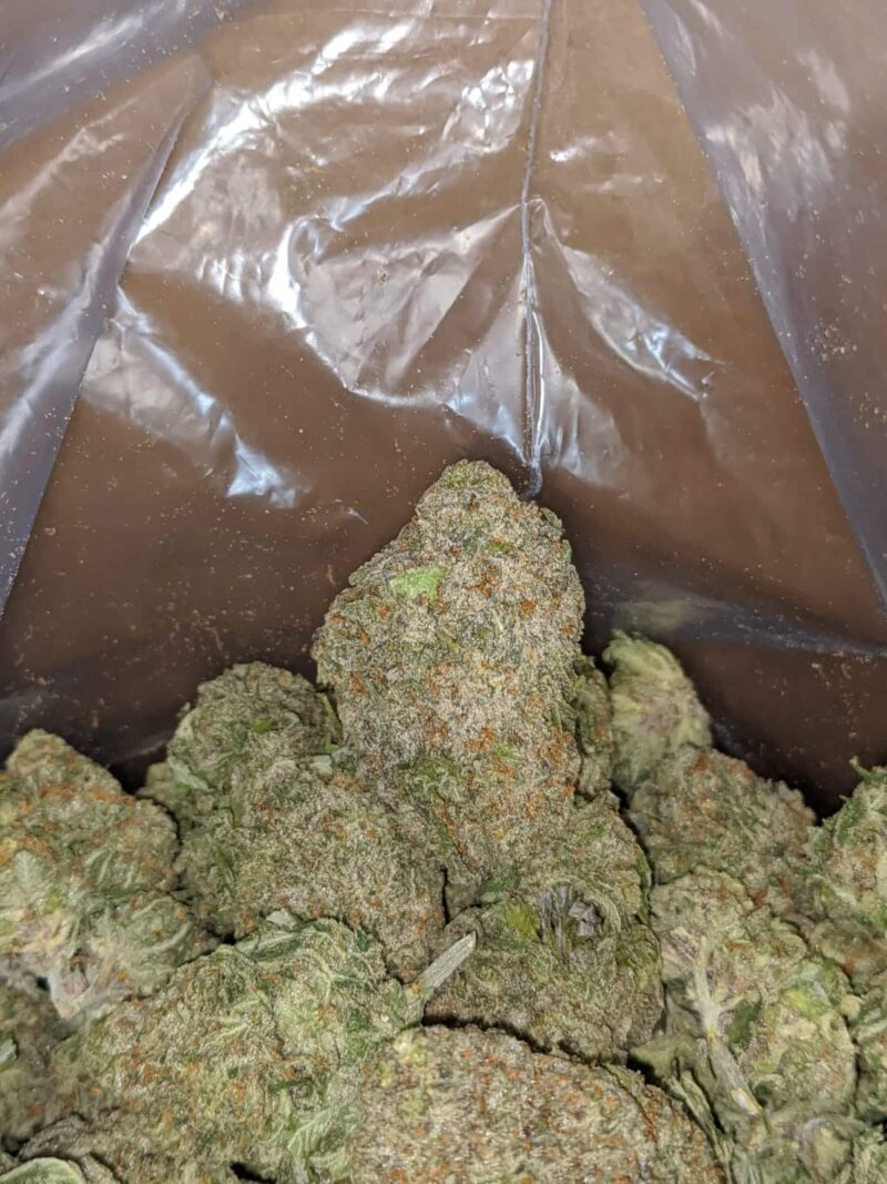 Green Nuken #2 - Image 5