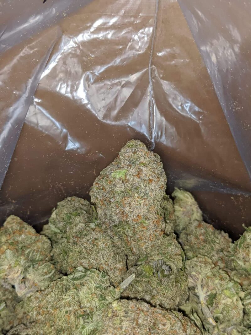 Green Nuken #2 - Image 4
