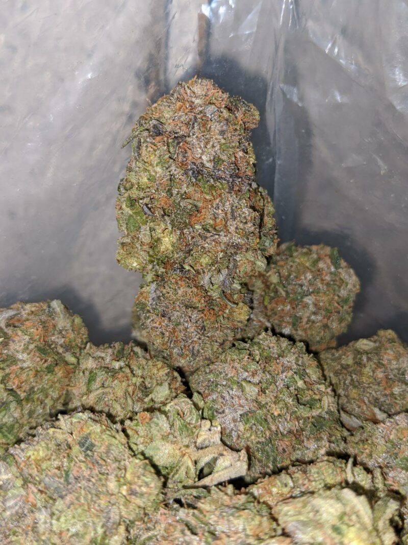 Greenfarm’s Black Tuna - Image 5
