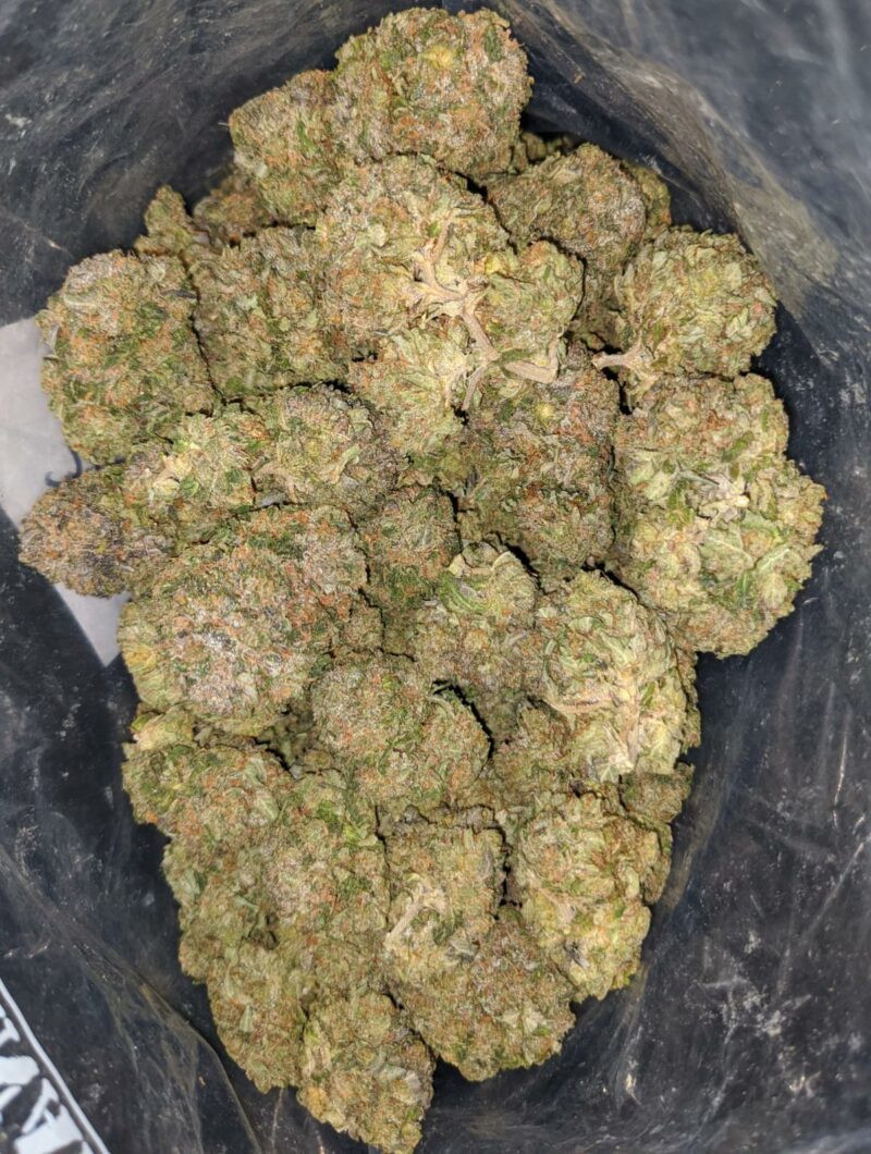 Greenfarm’s Black Tuna - Image 7
