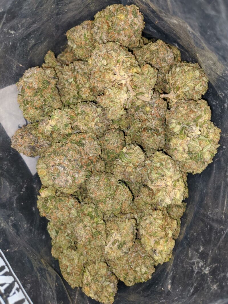 Greenfarm’s Black Tuna - Image 6