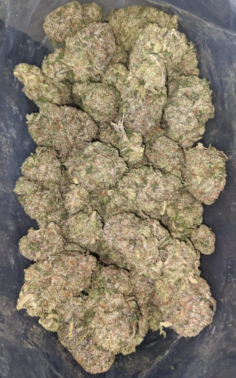 Greenfarm’s Bruce Banner - Image 5