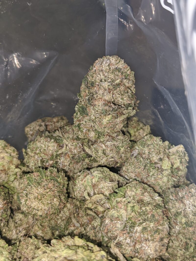 Greenfarm’s Bruce Banner - Image 7