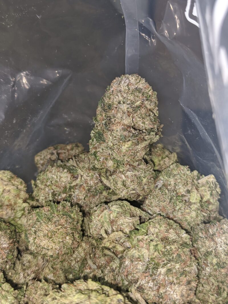 Greenfarm’s Bruce Banner - Image 6