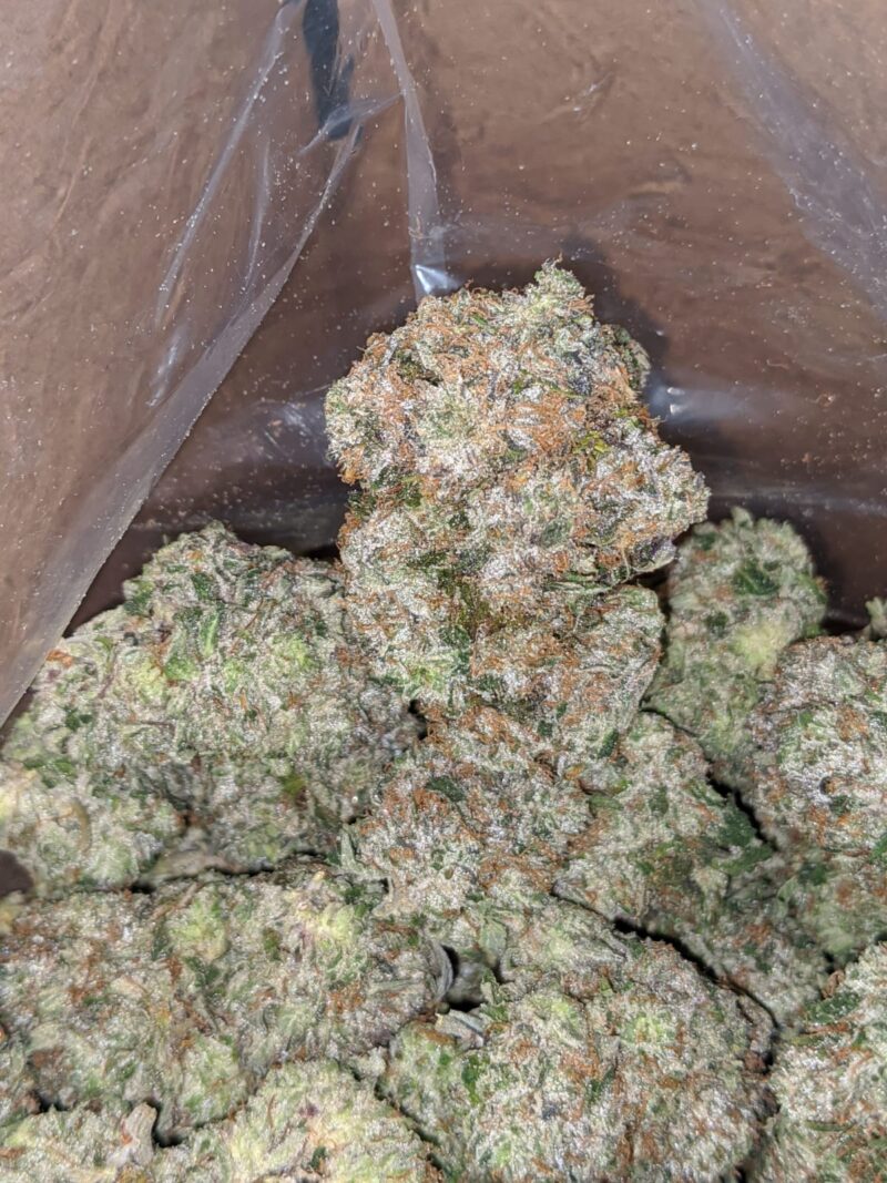 Greenfarm’s MK Ultra - Image 5