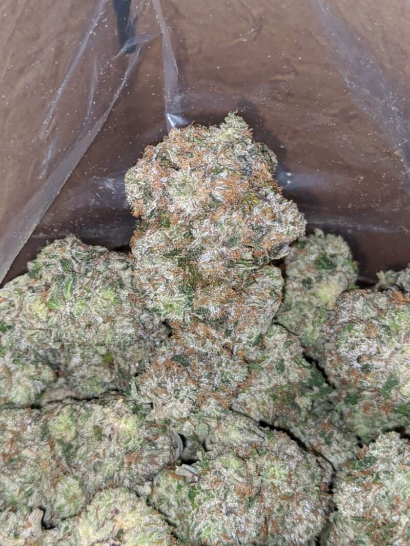 Greenfarm’s MK Ultra - Image 4