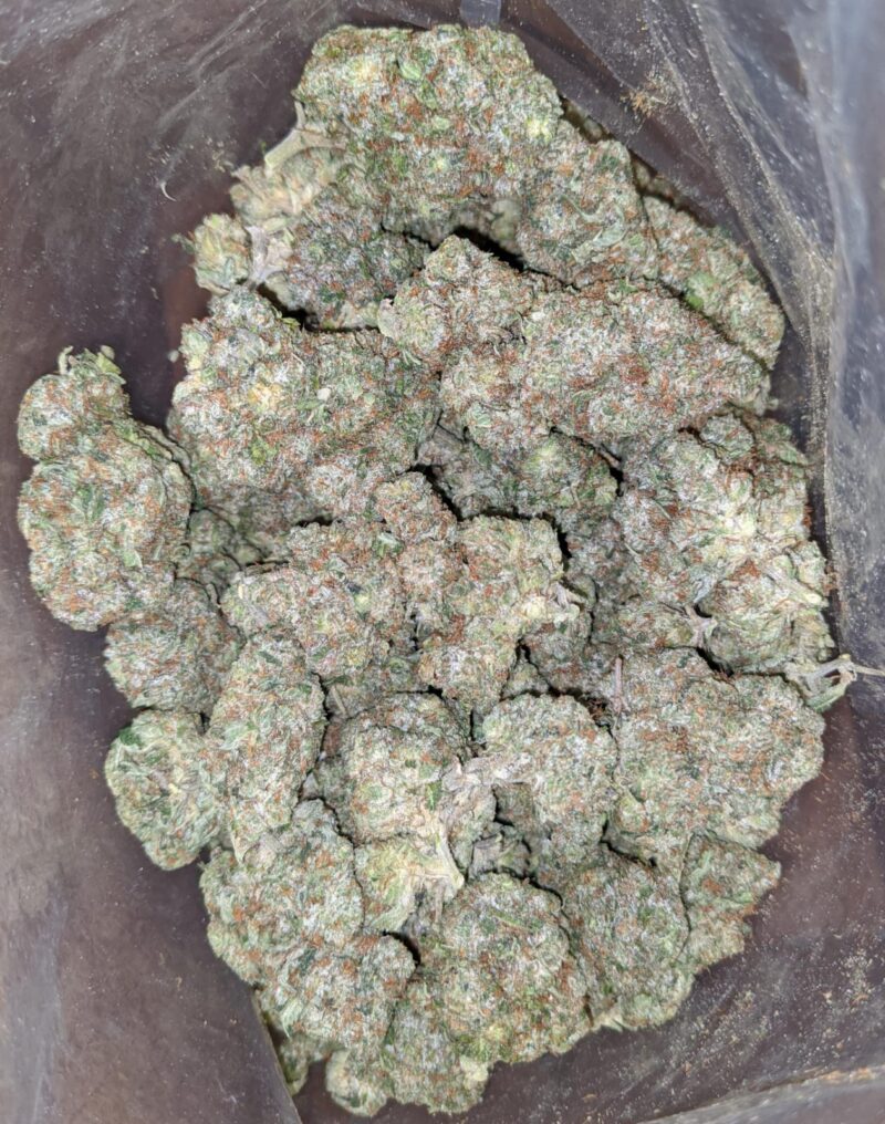 Greenfarm’s Pink Kush - Image 5