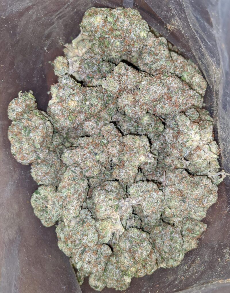 Greenfarm’s Pink Kush - Image 4