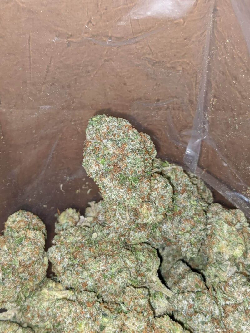 Greenfarm’s Pink Kush - Image 7