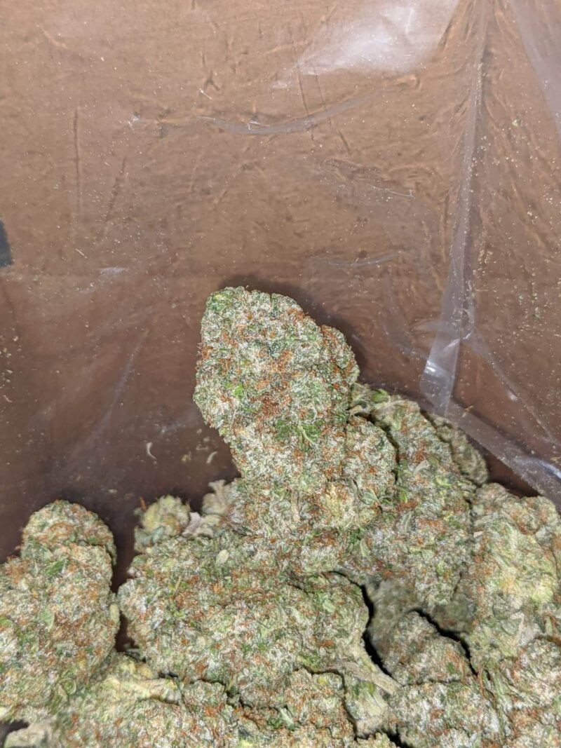 Greenfarm’s Pink Kush - Image 6