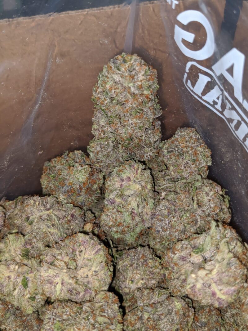 Greenfarm’s Rockstar - Image 5