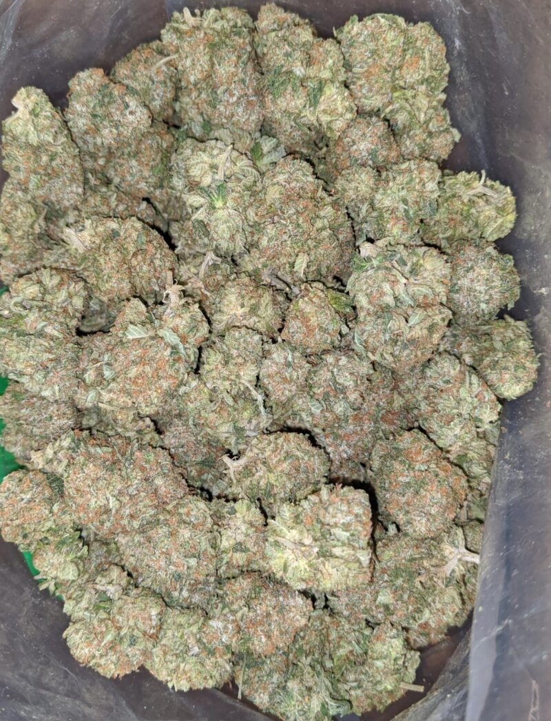 Greenfarm’s Tom Ford Pink - Image 5