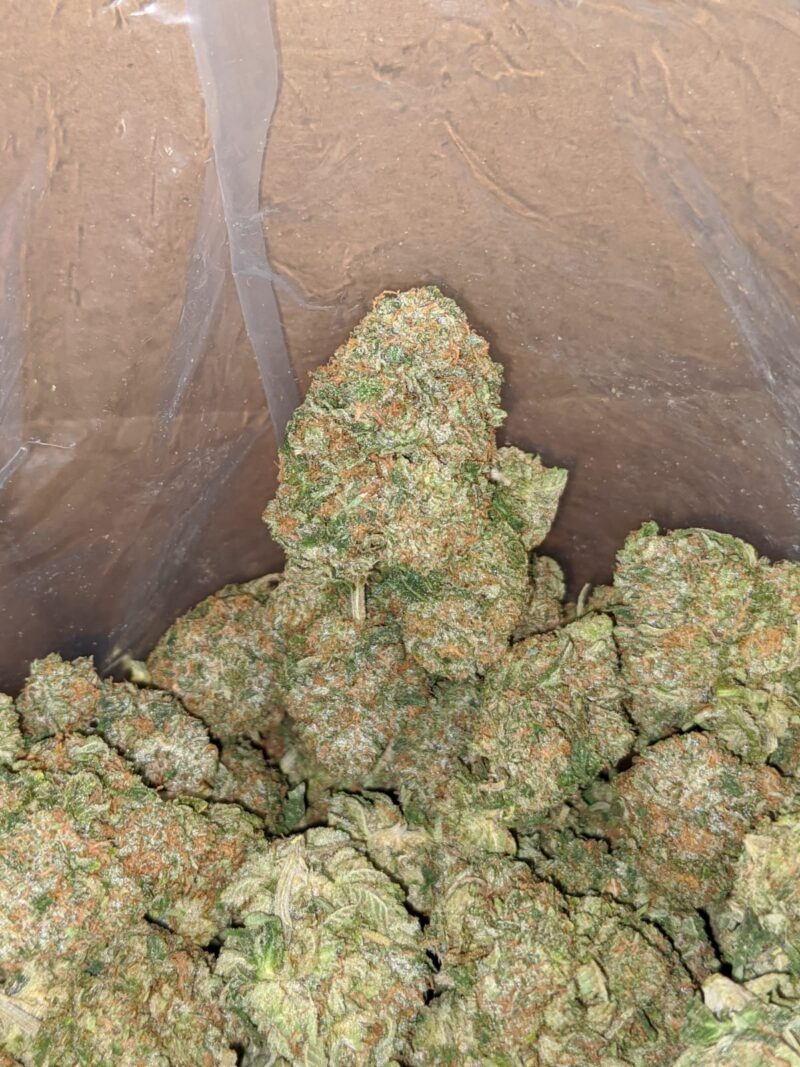 Greenfarm’s Tom Ford Pink - Image 4