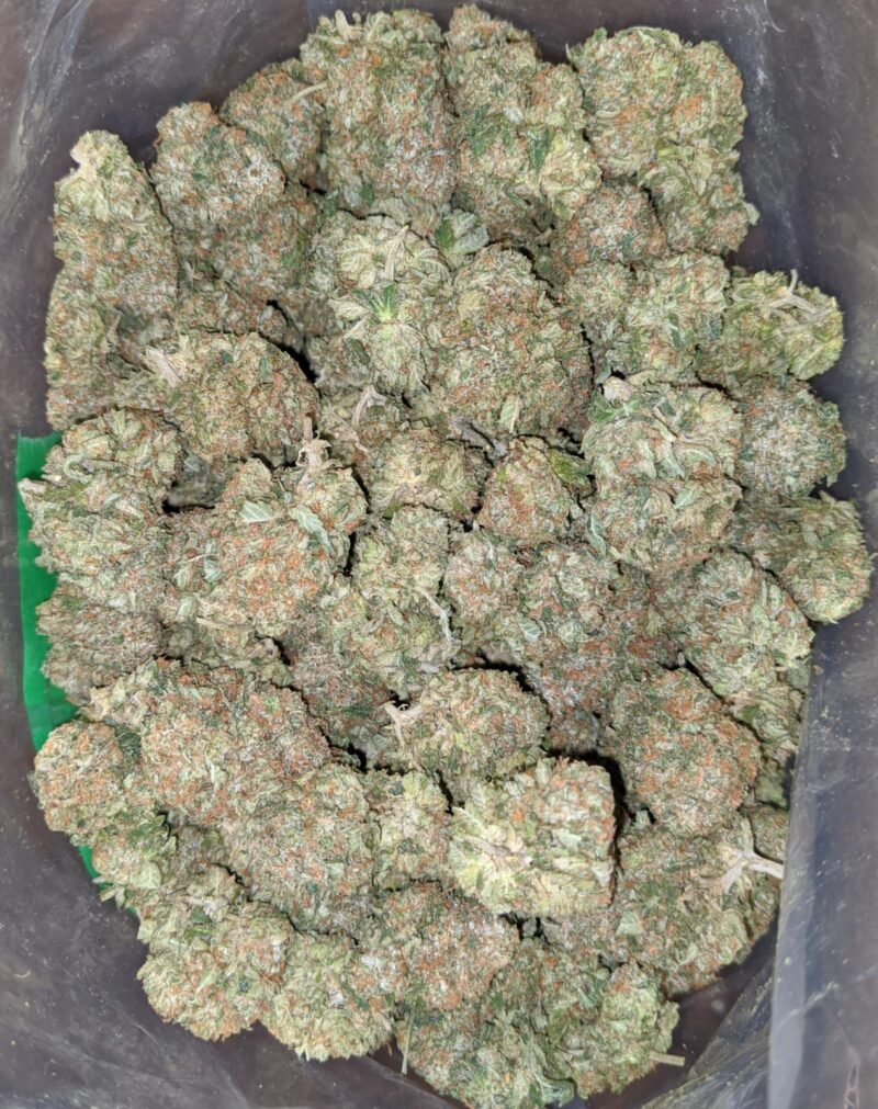 Greenfarm’s Tom Ford Pink - Image 7