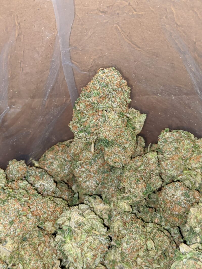 Greenfarm’s Tom Ford Pink - Image 6