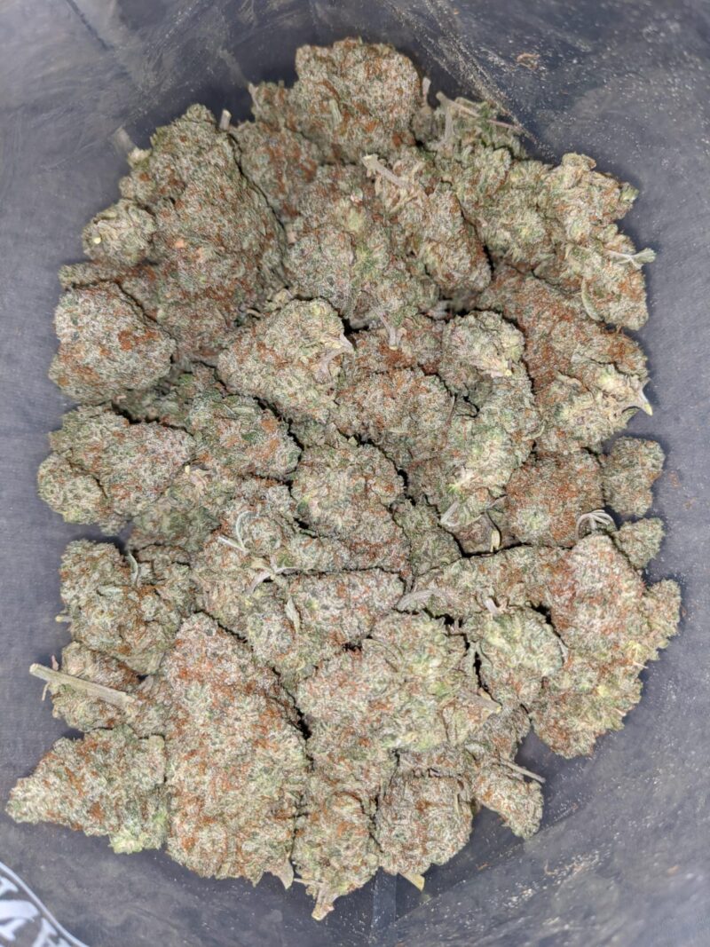 Hawaiian Haze - Image 5