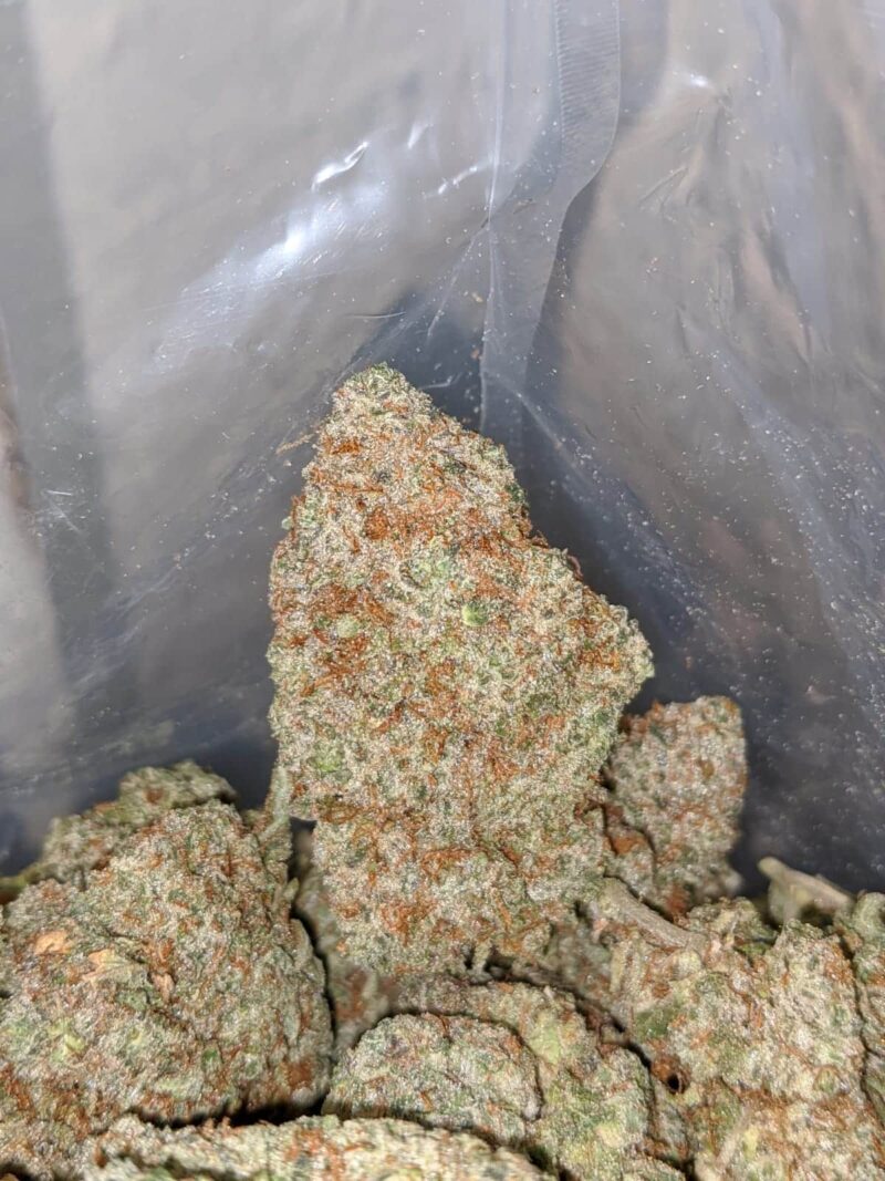 Hawaiian Haze - Image 4