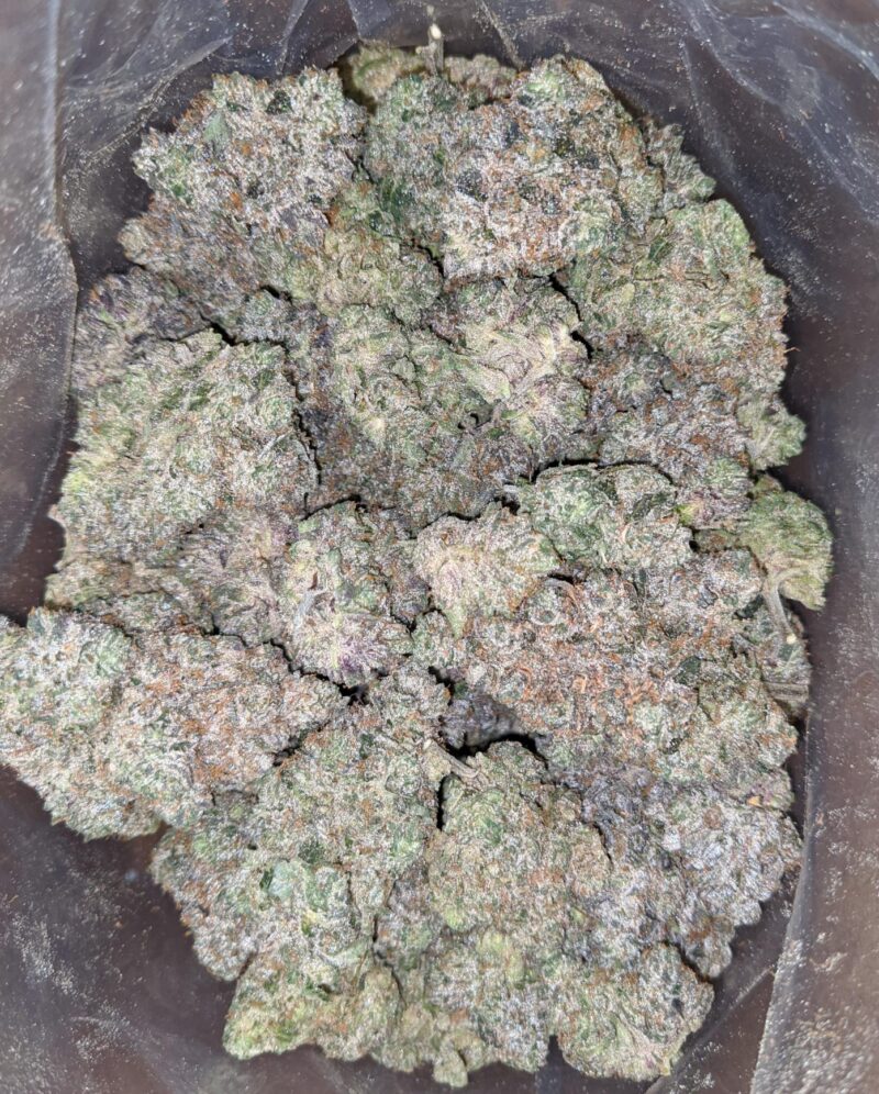 Holy Grail - Image 4