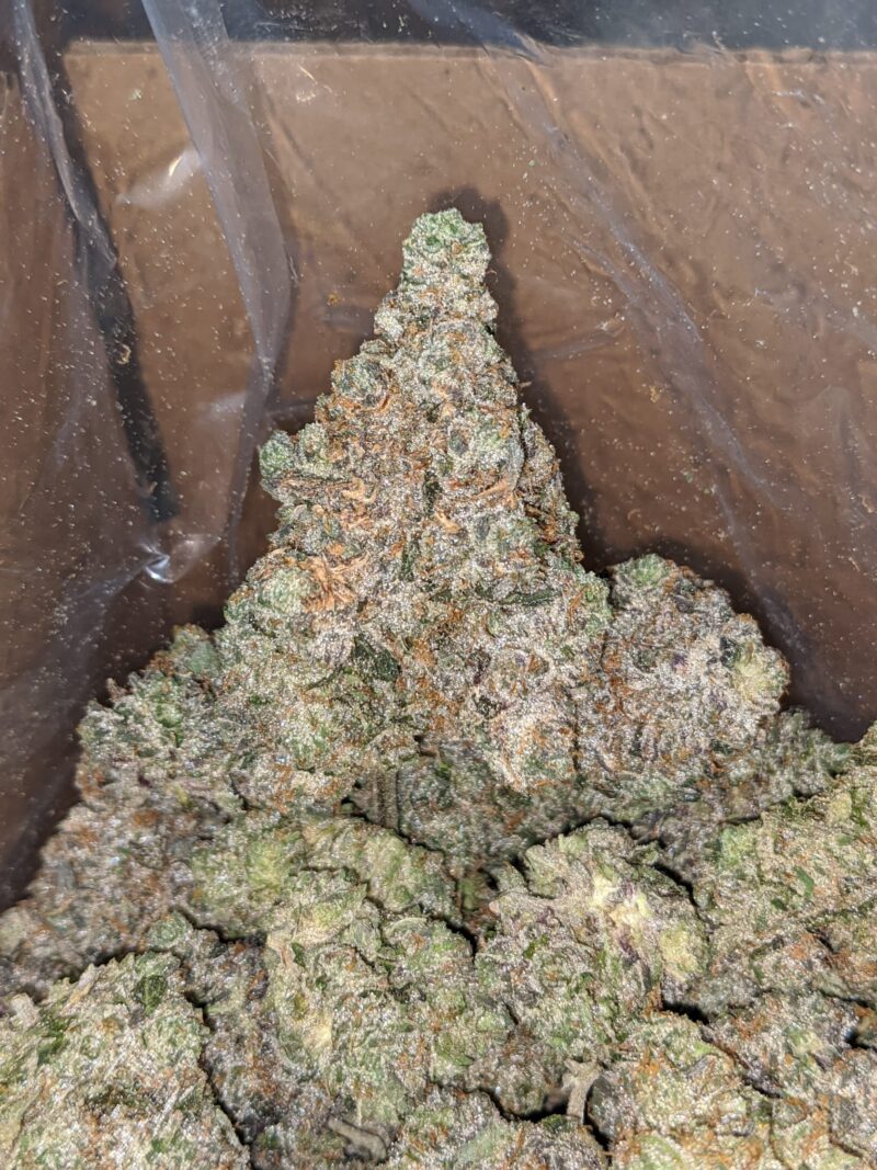 Holy Grail - Image 7
