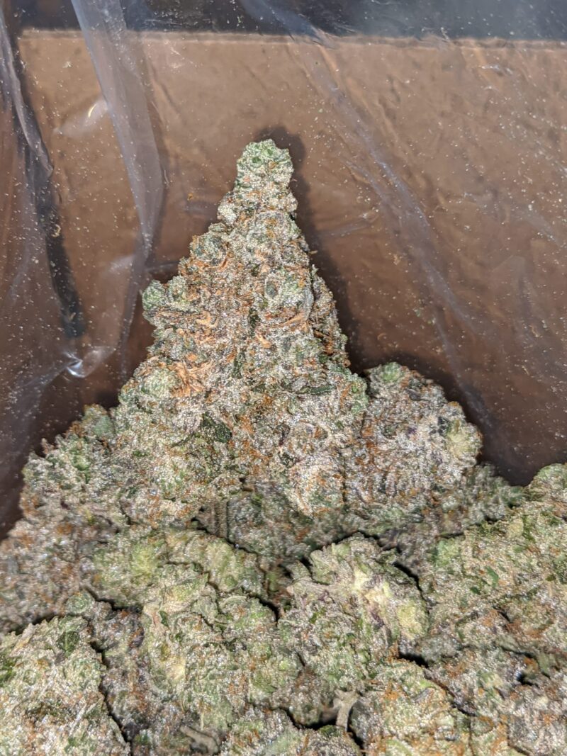 Holy Grail - Image 6
