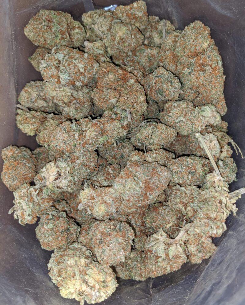 Huckleberry - Image 5
