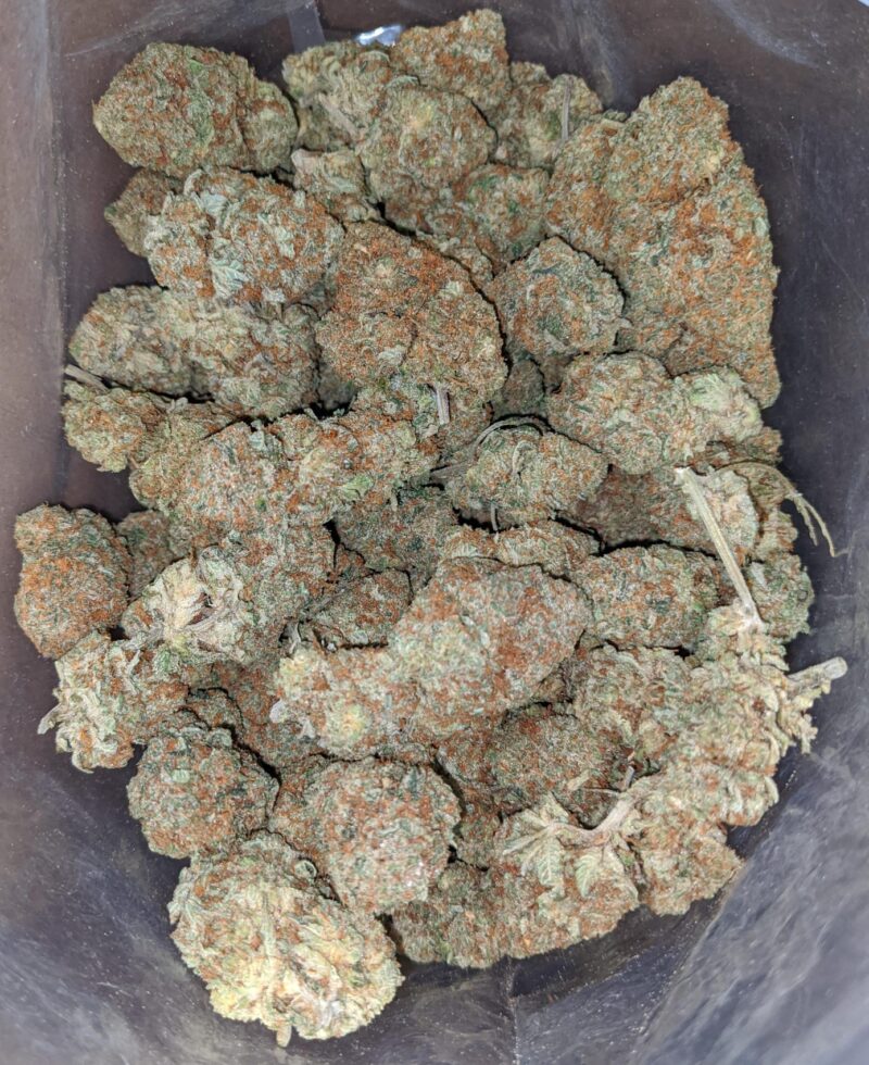 Huckleberry - Image 6