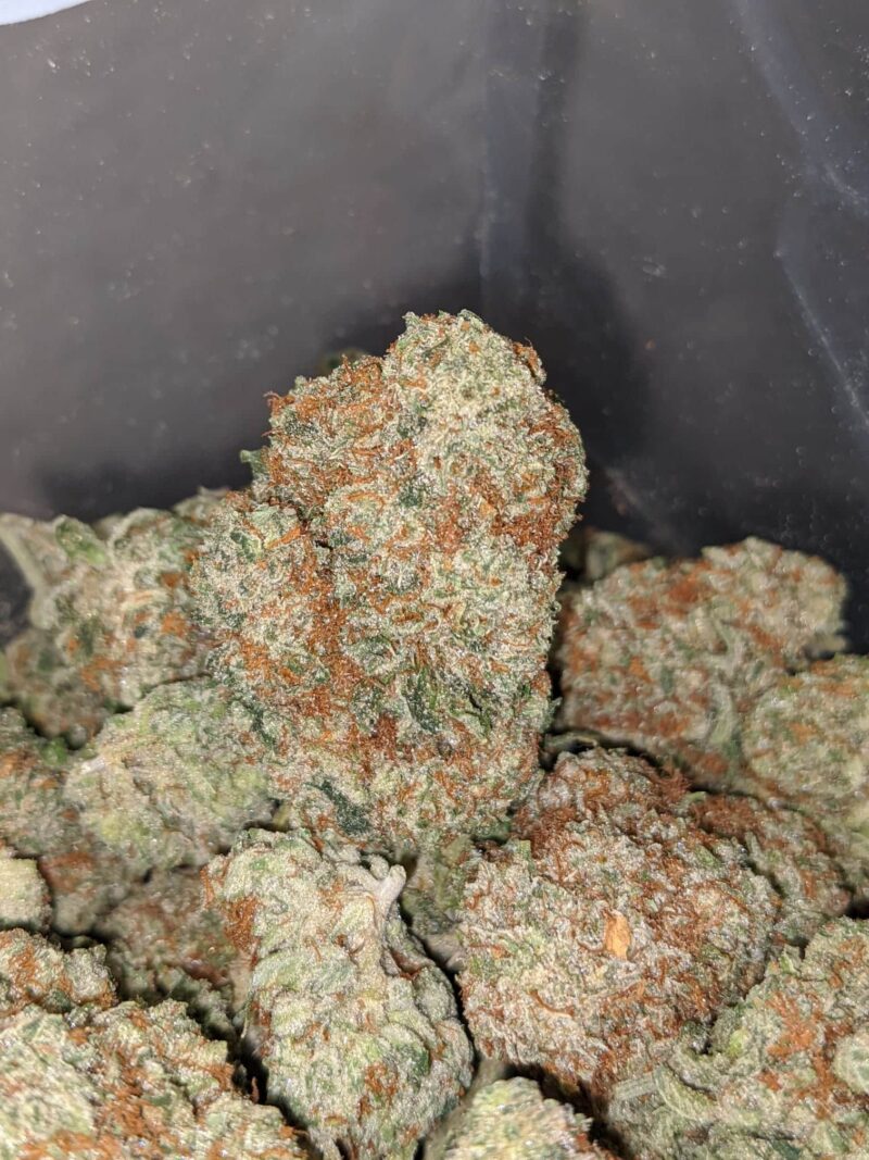 $ 66 Oz – Huckleberry - Image 5