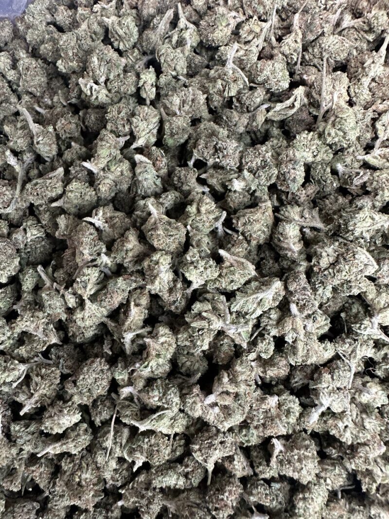 Chem Dawg Smalls - Image 2