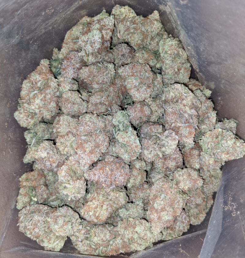 $ 56 Oz – Island Punch - Image 5